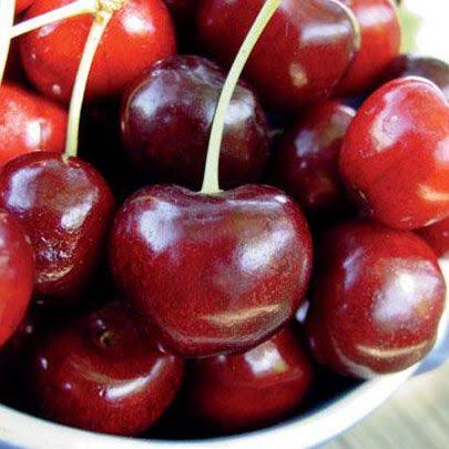 Sementes Cerejeira Anã Americana