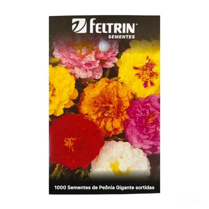 Peônia Gigante - Rainha das Flores